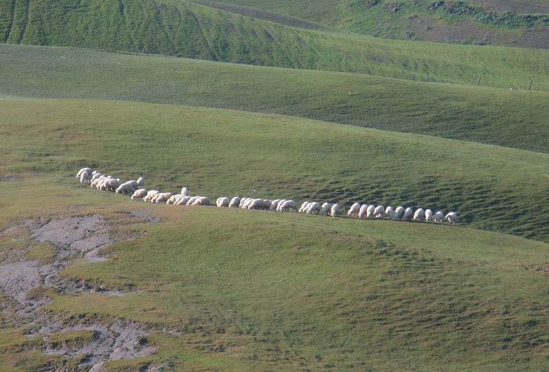 Immagini delle crete senesi....